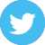 icone Twitter