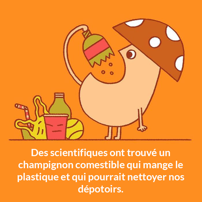 5df7ad6cbeb7e6.31832322.jpg (115 KB)